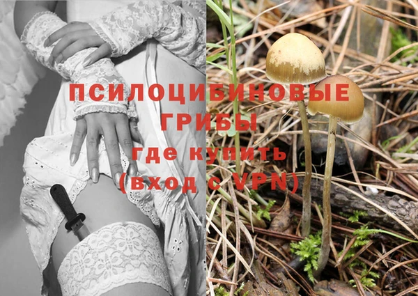 прущая мука Козельск